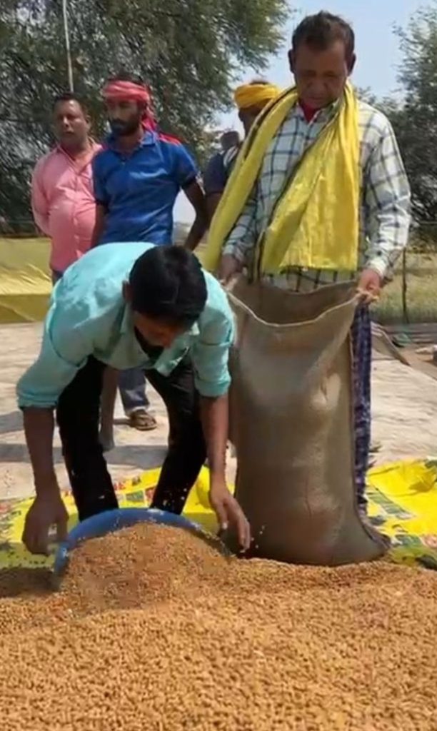 चना 1